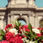 Urso Hotel & Spa: gallery