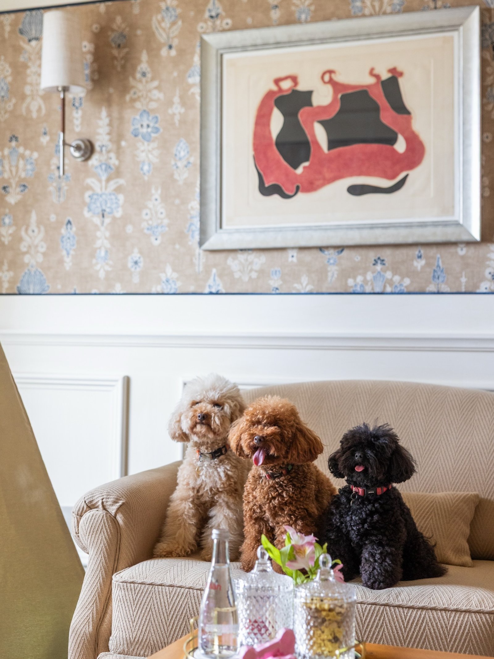 Hotel Majestic: gallery